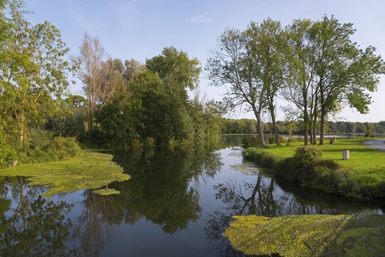 A calm river with clear reflections of trees and surrounded by lush vegetation and aquatic plants, Cl&eacute;ry-sur-Somme, Cl&eacute;ry-su-Sonme, River Somme, P&eacute;ronne, Hauts-de-France, France