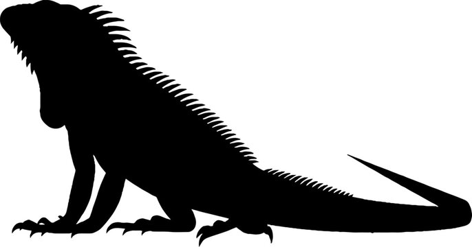 Large iguana reptile lizard silhouette side view