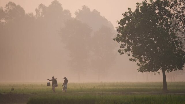 Bogura, Bangladesh - 27 November 2023: View of two people walking through a misty field at dawn with trees in the background.