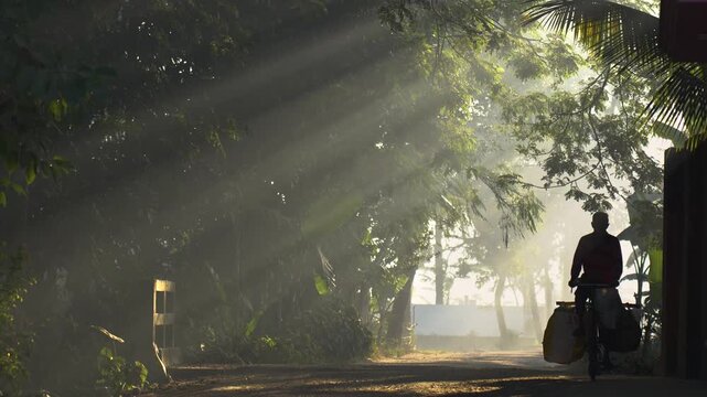 Bogura, Bangladesh - 26 September 2023: View of a man walking along a rural road with sunbeams filtering through lush green trees in the morning mist.