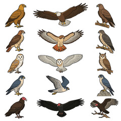 Obraz premium Collection of Various Bird Species.