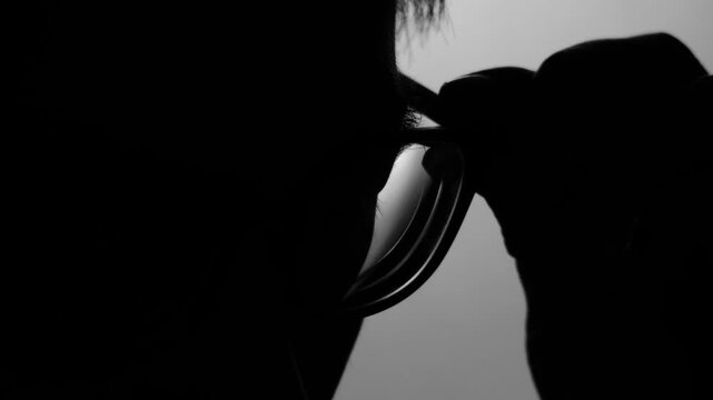 Silhouette close‑up of a man adjusting eyeglasses.
