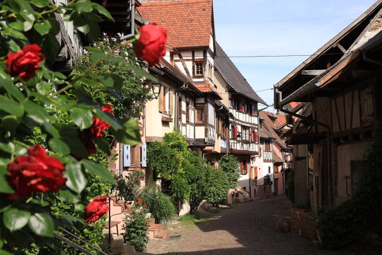city of eguisheim, alsace, france