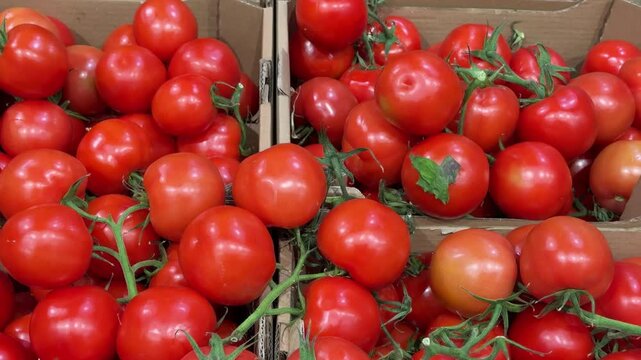 Fresh red tomatoes stacked in cardboard boxes at a market display area