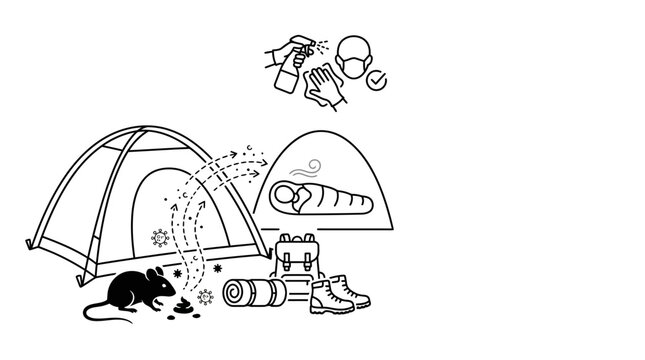 Camping Safety Infographic Illustrating Hantavirus Prevention Measures.