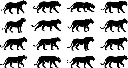 Obraz premium Black Panther and Lioness Silhouette Set Featuring Walking Big Cats, Crouching Wild Felines, Predator Poses, Safari Wildlife, and Jungle Animal Vector Designs