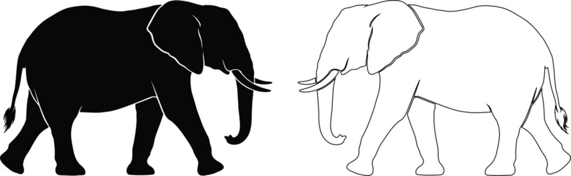 Elephant Walking Silhouette Outline on White Background Vector Illustration