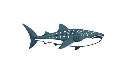 Fototapeta premium Flat Vector Illustration of a Whale Shark