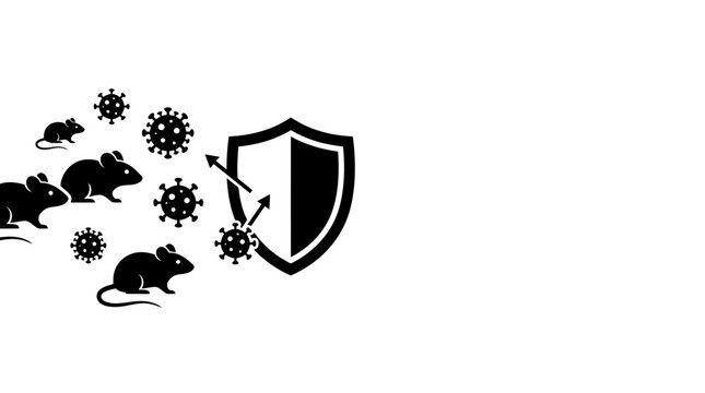 Icon showing shield protecting against rodent borne viral disease transmission.