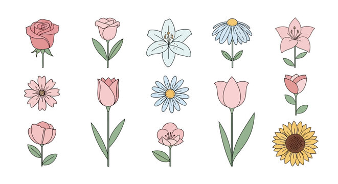 Set Ilustrasi Vektor Tanaman (114)_2x