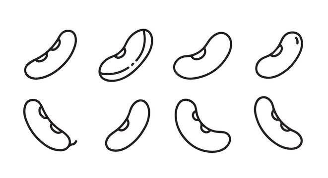 Set of eight simple bean illustrations in a line art style with hand drawn food illustration food drawing plant drawing organic illustration nature illustration seed illustration