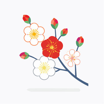 Japanese Plum Blossoms Illustration