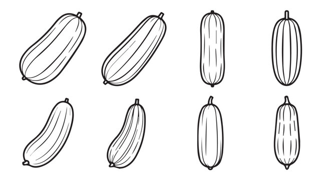 Set of outline illustrations of various cucumbers with black and white background food preparation cucumber vegetable illustration isolated collection different botanical agriculture