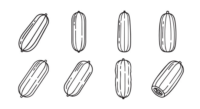 Collection of outline drawings featuring different types of cucumbers black and white background food preparation cucumber vegetable illustration isolated collection different vitamins