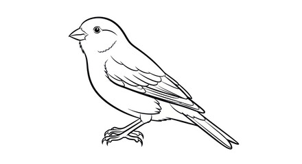 Simple Line Drawing of a Small Bird on White Background © jono