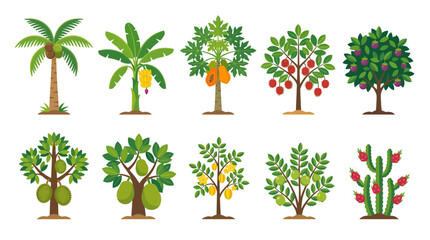 Fototapeta premium Vibrant collection of diverse fruit trees in a flat design style, featuring exotic and tropical plants ideal for healthy lifestyle graphics or educational materials