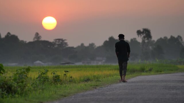Bogura, Bangladesh - 14 May 2026: View of a man walking along a rural road through green fields during a golden sunset with a large sun on the horizon.
