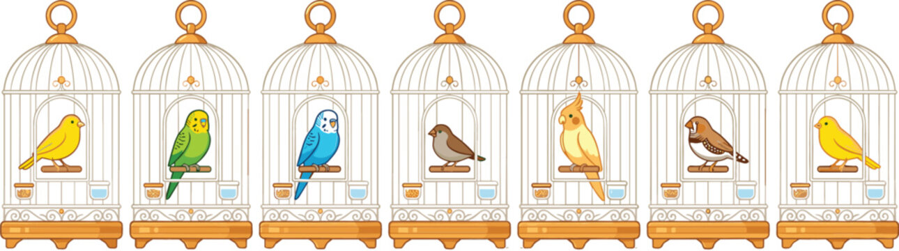 Colorful Singing Birds in Vintage Cages Vector Illustration with Decorative Pet Canary and Nature Collection Design