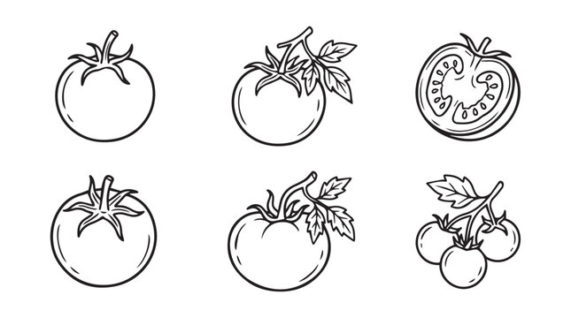 Collection of hand drawn tomatoes with leaves and slices white background line art vegetable illustration isolated monochrome creative minimalist collection ingredients