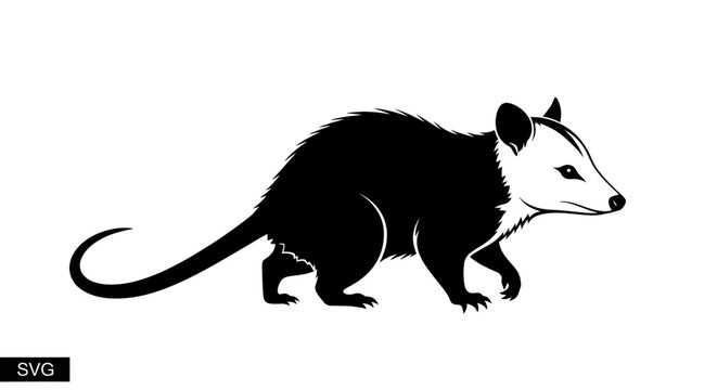Opossum Silhouette, Vector Illustration, Wildlife Mammal Icon