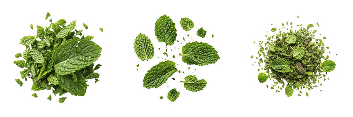 Crushed mint leaves, Mentha piperita, Lamiaceae family, physically macerated green foliage texture, essential oil release visible cellular disruption layout, organic aromatic culinary botanical asset © Homelander