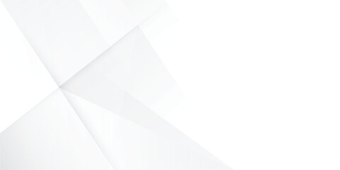 Fototapeta premium Abstract white and grey diagonal stripes with copy space for business horizontal banner on white background