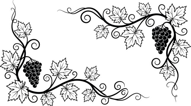Elegant Grapevine Border with Bunches of Grapes and Swirling Vine Leaves in Black Line Art Style for Wine Labels and Invitations