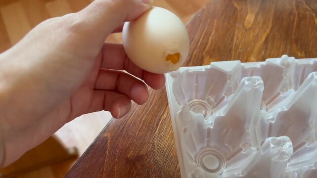 Close-up of hand neatly placing fresh white egg in empty plastic transparent box