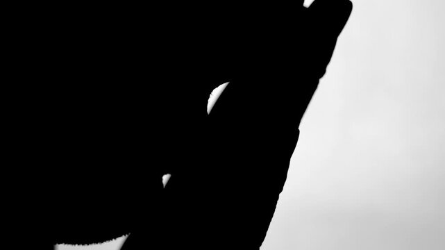 Silhouette of man showing tiredness and sudden surprise reaction