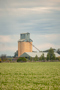 Old grain silo stands tall over a lush green field under a cloudy sky