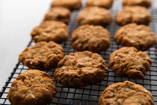 ANZAC biscuits lined up to cool down after baking