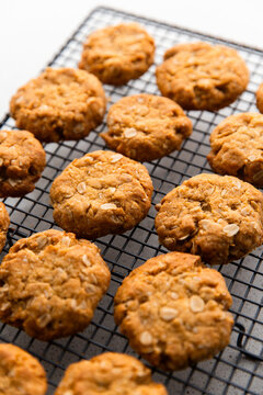 cooling rack with ANZAC biscuits lined up