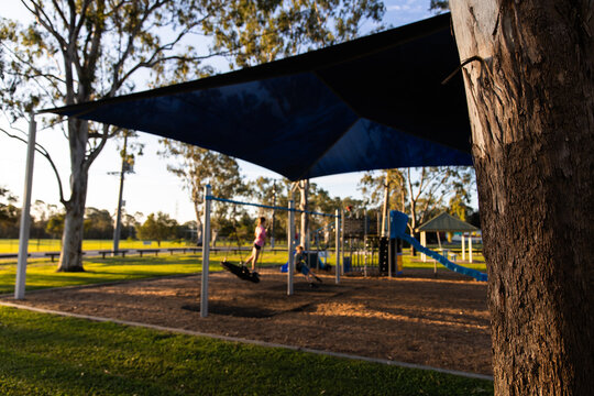 small local park out of focus with gumtree trunk in focus in foreground