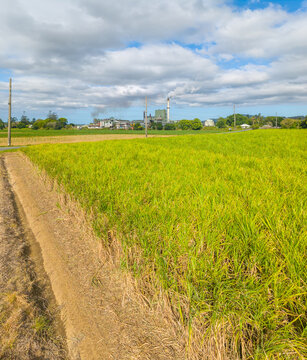 The Condong Sugar Cane Mill near Murwillumbah, New South Wales