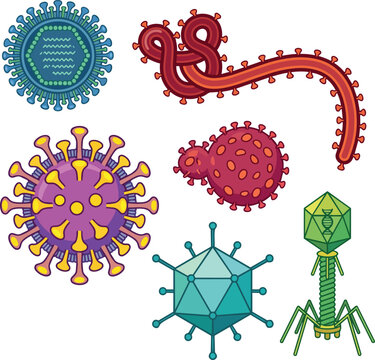 Collection of diverse virus types including hantavirus, coronavirus, ebola, and bacteriophage illustration