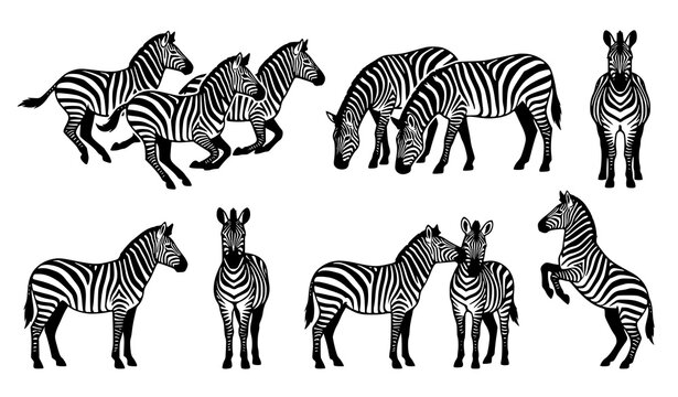 Dynamic Zebra Silhouette Vector Collection with Running Safari Wildlife Animal Poses