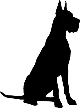 Great dane sitting profile silhouette