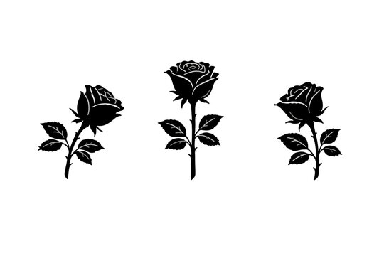 Black and white flower and plant vector illustration set