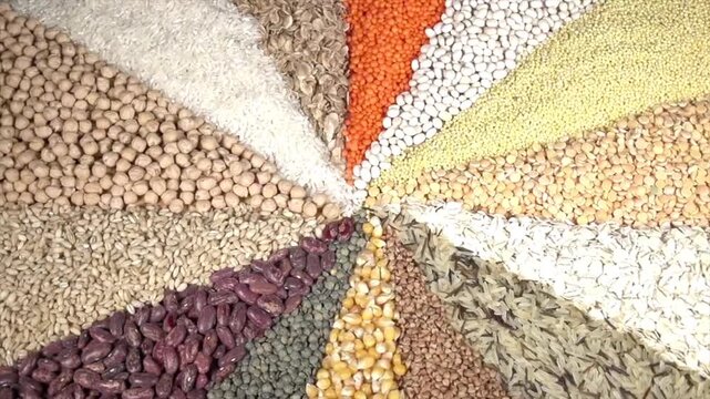 Top view of various legumes, grains and cereals arranged in a colorful wheel pattern, healthy raw food assortment background for culinary concepts