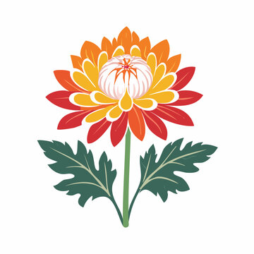 Stylized Chrysanthemum Flower Illustration