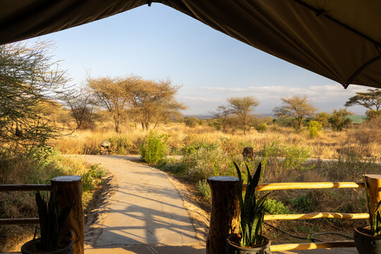 View of the dry savanna landscape from inside a luxury safari tent at sunset in Amboseli National Park Kenya