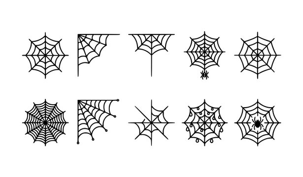 Modern Spider Web Icon Pack | Linear Vector Web Icons for UI