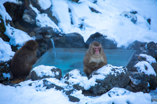 Kusatsu Onsen, a famous hot spring in Gunma Prefecture, Japan
