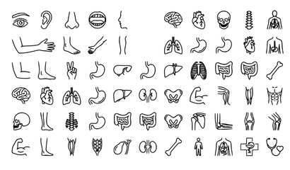 Naklejka premium SEO Title: Human anatomy body parts outline icons editable thin line vector set isolated on white background