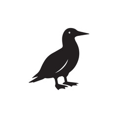 Obraz premium Seabird Silhouette Icon