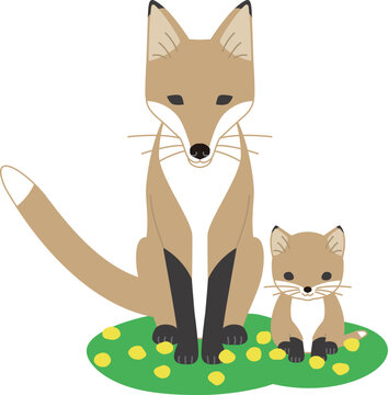 野の花と狐の親子のイラスト。