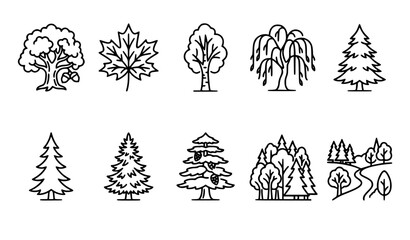 Tree and forest thin line vector icon set with deciduous and coniferous woodland outline symbols editable stroke © MdtTahomidHossain