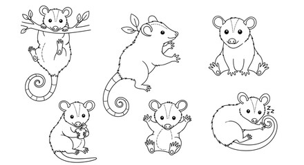 Obraz premium Cute Opossum Coloring Page Set, Hand-Drawn Doodle Collection