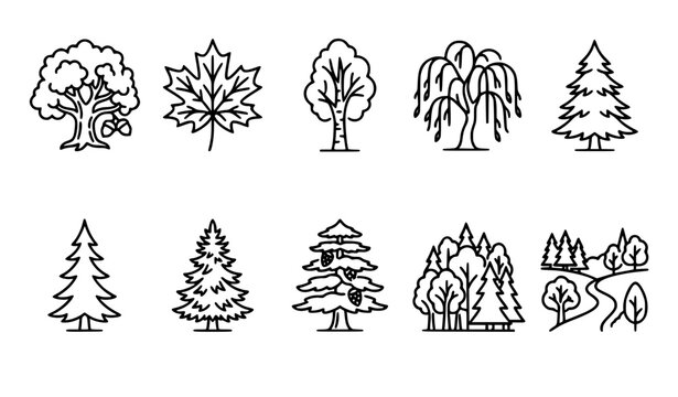 Tree and forest thin line vector icon set with deciduous and coniferous woodland outline symbols editable stroke