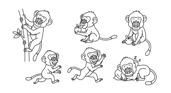 Cute Mandrill Monkey Set, Cartoon Animal Poses for Coloring Book